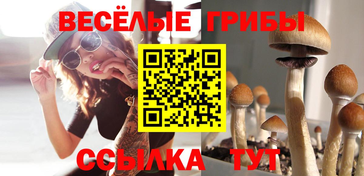 Знаменск  Галлюциногенные грибы ЛСД  Вход с VPN 